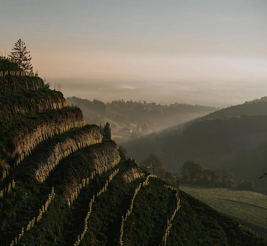 Formulario de contacto Ferreiro Selección
