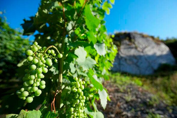 Historia Ferreiro Selección