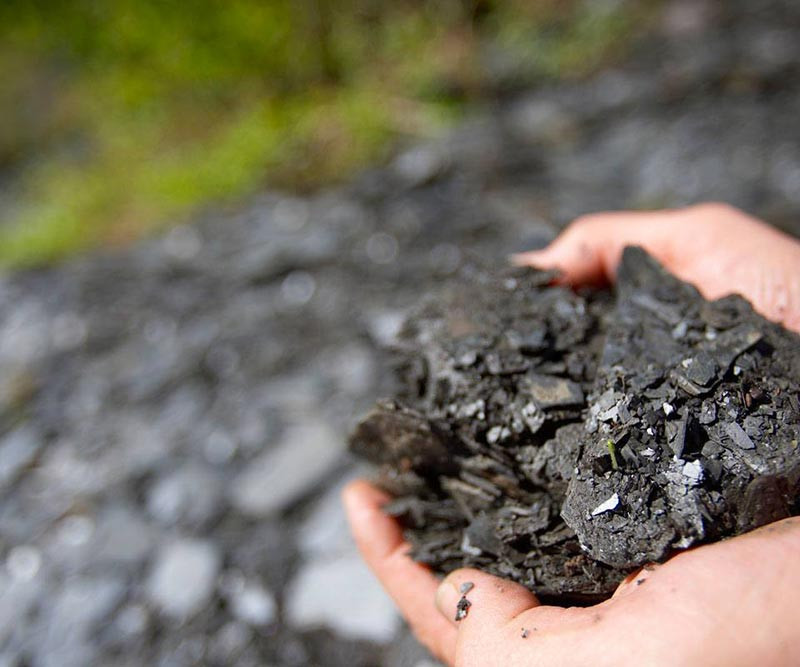 Datos de contacto Ferreiro Selección