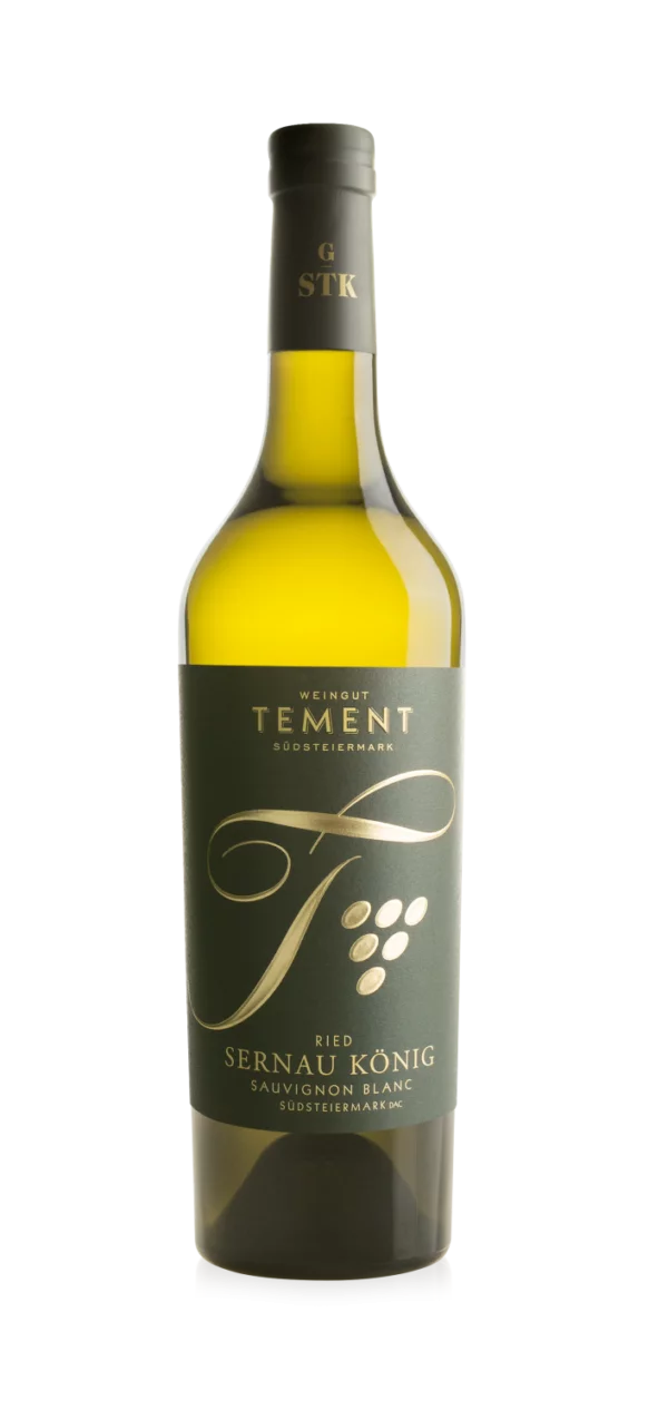 logo_TEMENT RIED SERNAU KÖNIG G-STK 16
