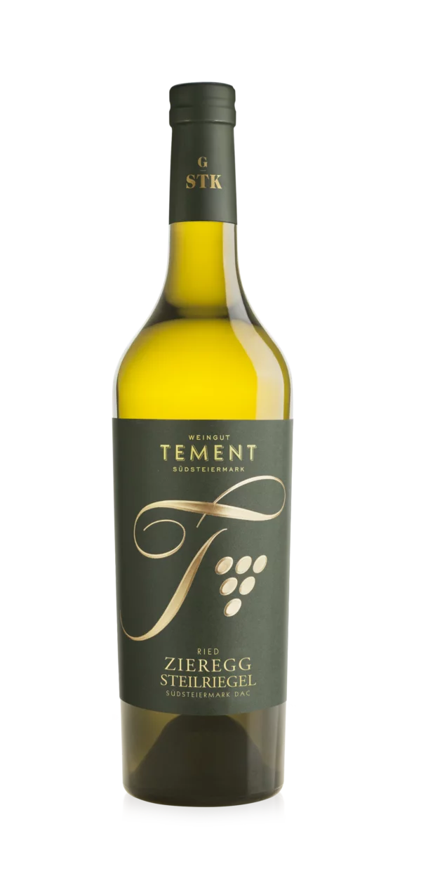 logo_TEMENT ZIEREGG G STK MORILLON 16